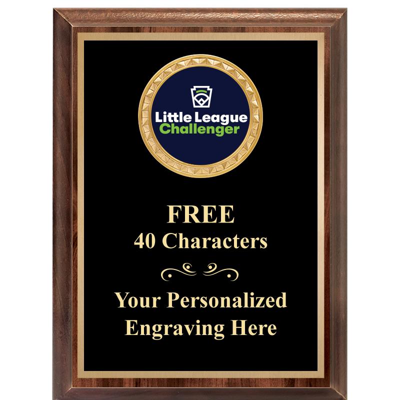 6X8 WOOD EXECUTIVE INSERT PLAQ