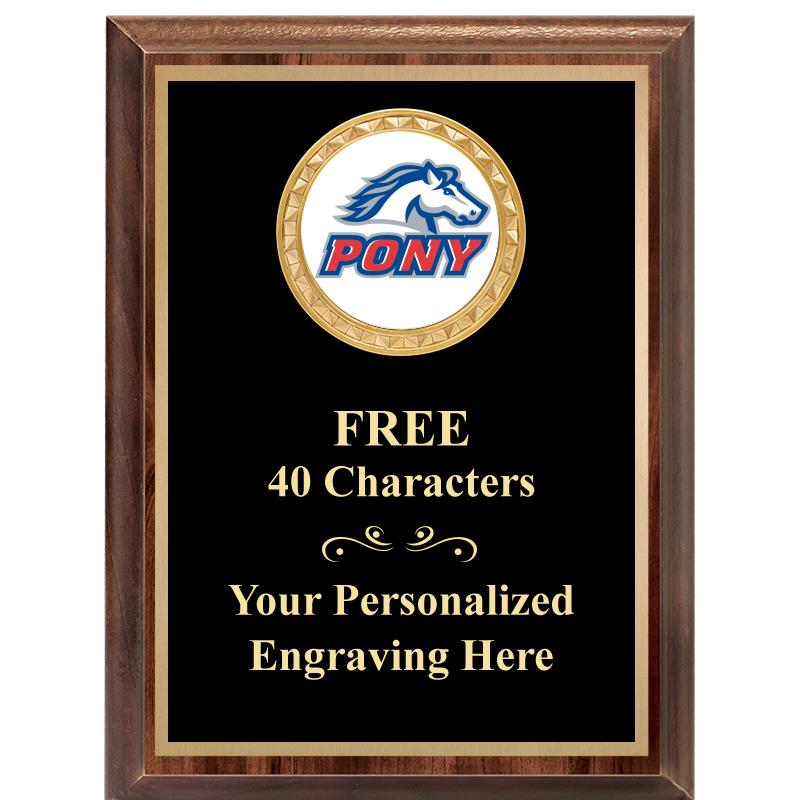 6X8 WOOD EXECUTIVE INSERT PLAQ