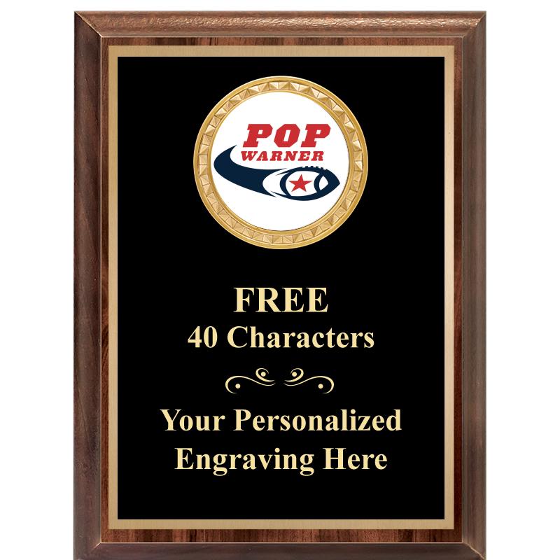 6X8 WOOD EXECUTIVE INSERT PLAQ