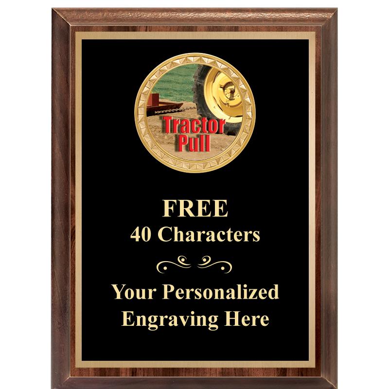 6X8 WOOD EXECUTIVE INSERT PLAQ