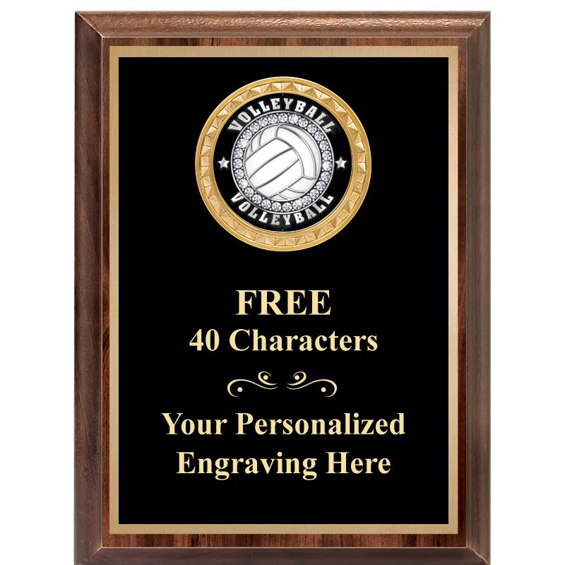 6X8 WOOD EXECUTIVE INSERT PLAQ