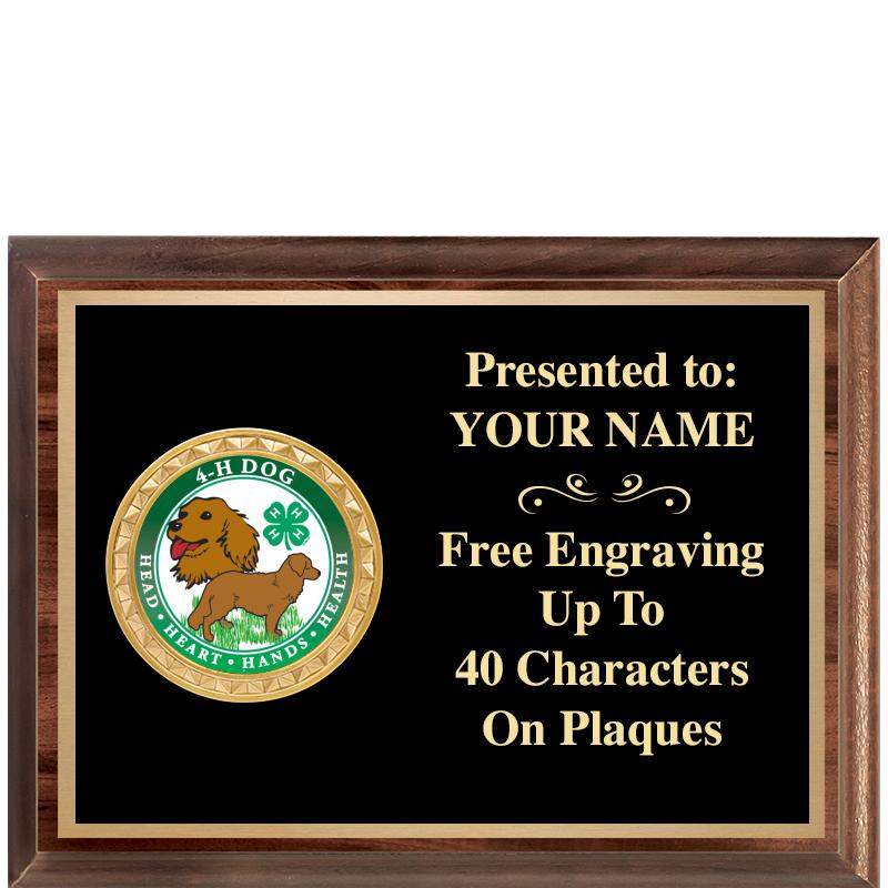 8X6 WOOD EXECUTIVE INSERT PLQ