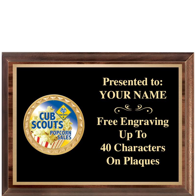 8X6 WOOD EXECUTIVE INSERT PLQ