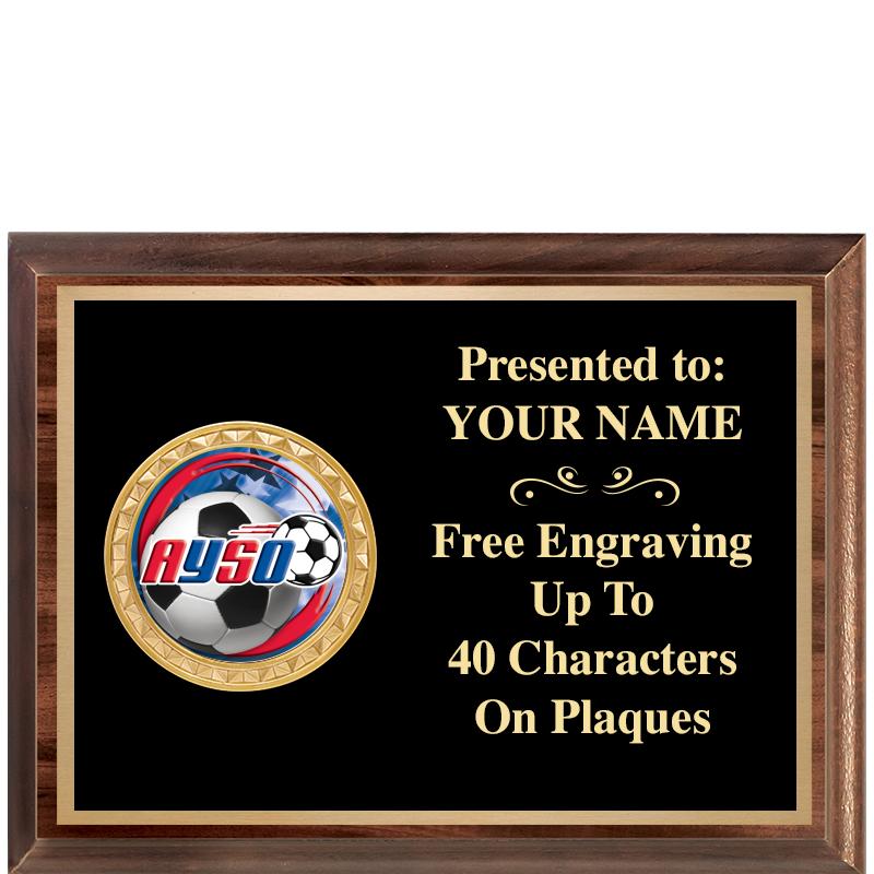 8X6 WOOD EXECUTIVE INSERT PLQ