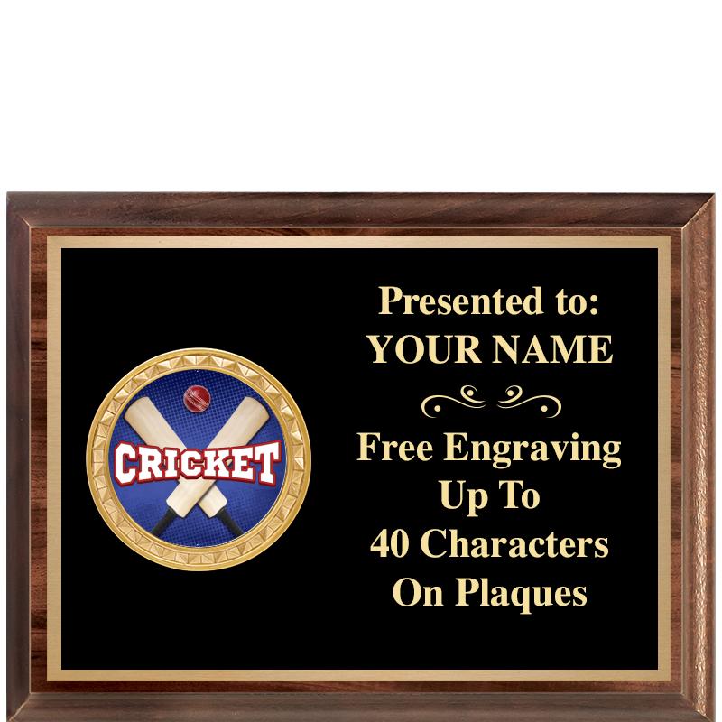 8X6 WOOD EXECUTIVE INSERT PLQ