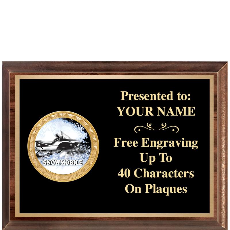 8X6 WOOD EXECUTIVE INSERT PLQ