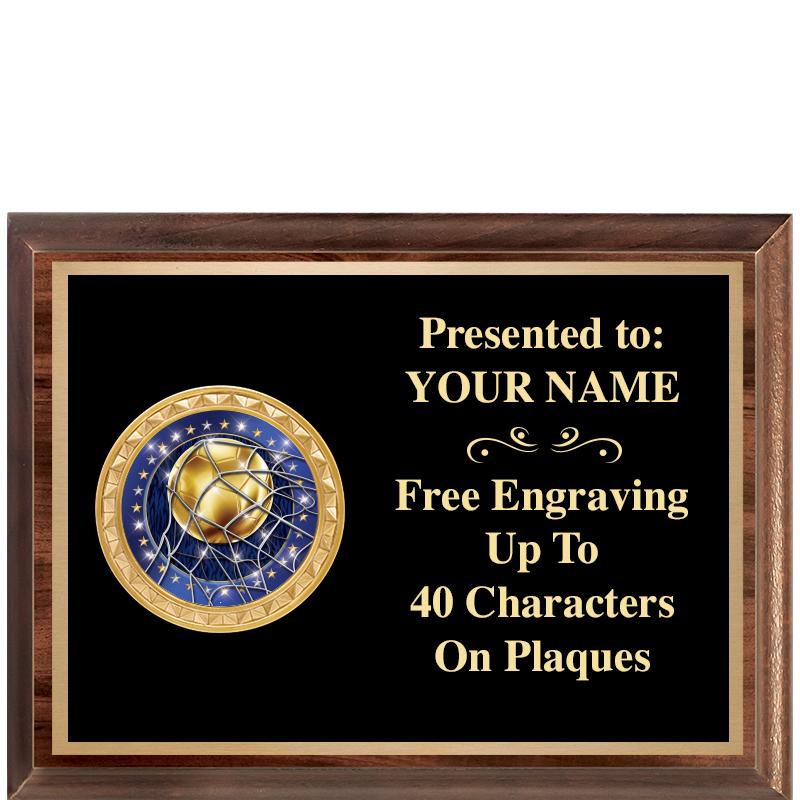 8X6 WOOD EXECUTIVE INSERT PLQ