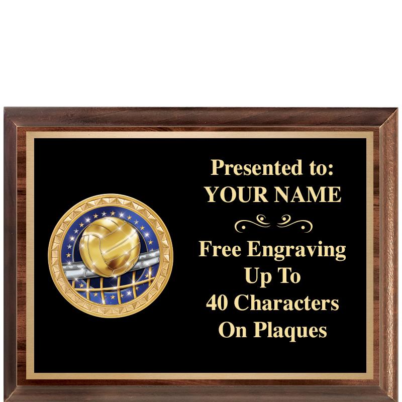 8X6 WOOD EXECUTIVE INSERT PLQ