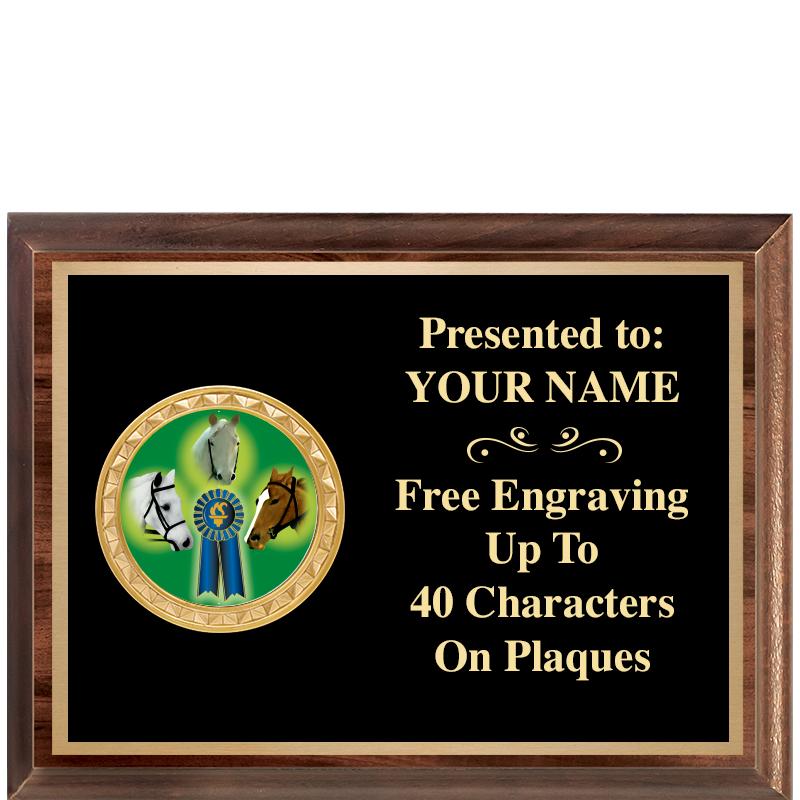 8X6 WOOD EXECUTIVE INSERT PLQ