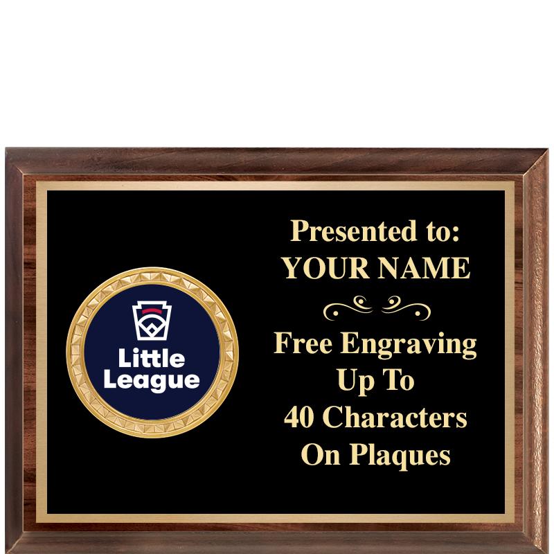 8X6 WOOD EXECUTIVE INSERT PLQ