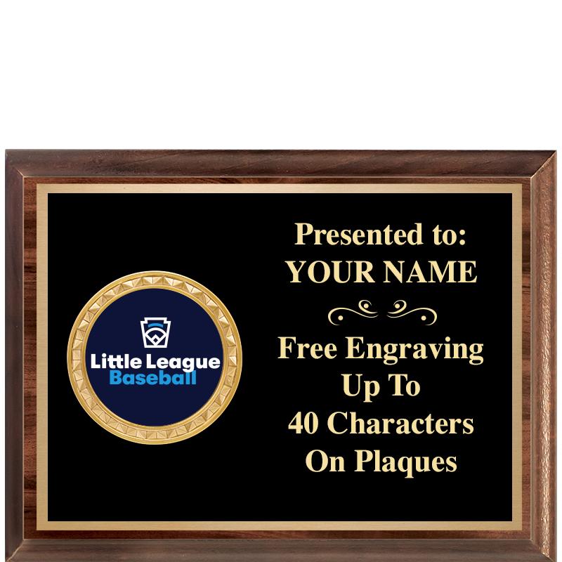 8X6 WOOD EXECUTIVE INSERT PLQ