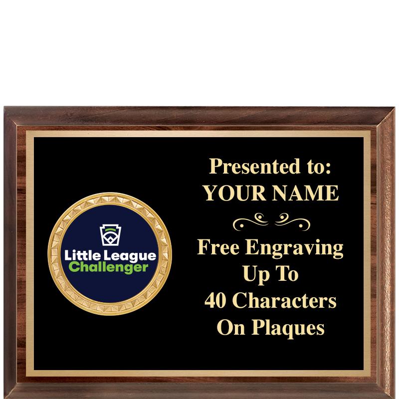 8X6 WOOD EXECUTIVE INSERT PLQ