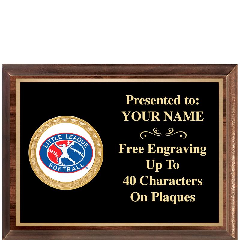 8X6 WOOD EXECUTIVE INSERT PLQ