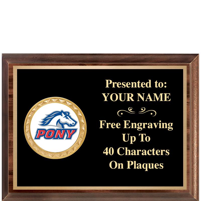 8X6 WOOD EXECUTIVE INSERT PLQ