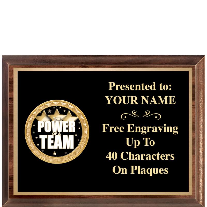 8X6 WOOD EXECUTIVE INSERT PLQ