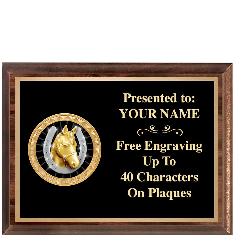 8X6 WOOD EXECUTIVE INSERT PLQ