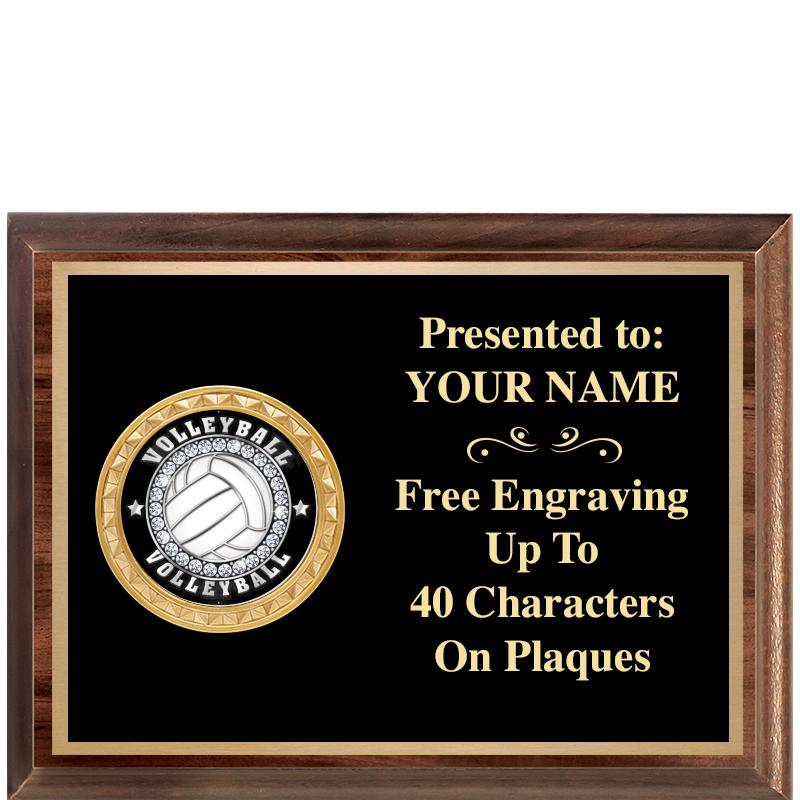 8X6 WOOD EXECUTIVE INSERT PLQ