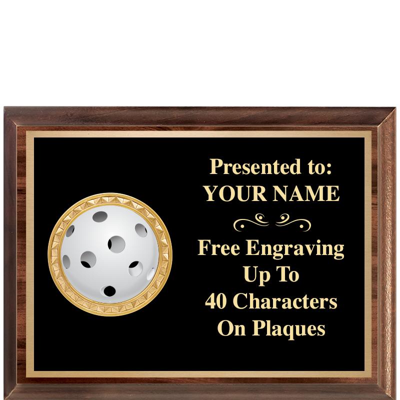 8X6 WOOD EXECUTIVE INSERT PLQ