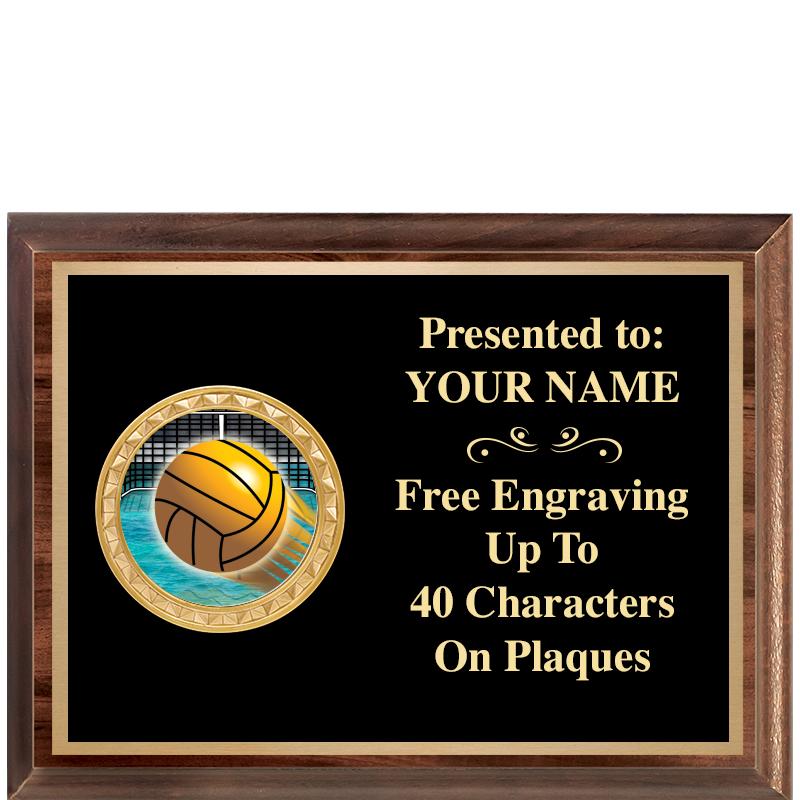 8X6 WOOD EXECUTIVE INSERT PLQ