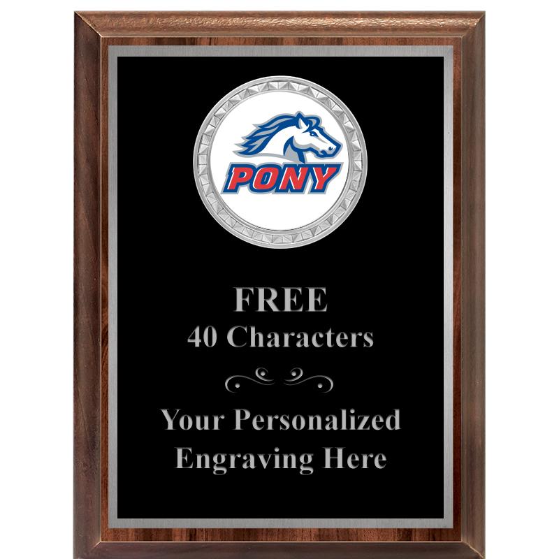 6X8 WOOD EXECUTIVE INS PLQ SV