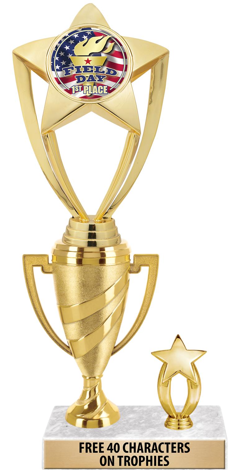 SWIRL CUP RISER TRP STAR TRIM