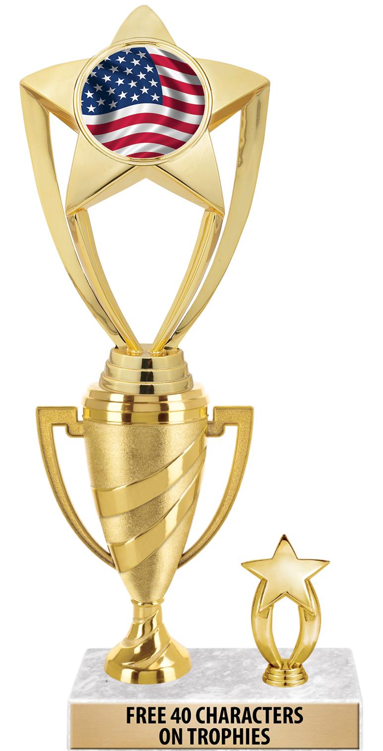 SWIRL CUP RISER TRP STAR TRIM