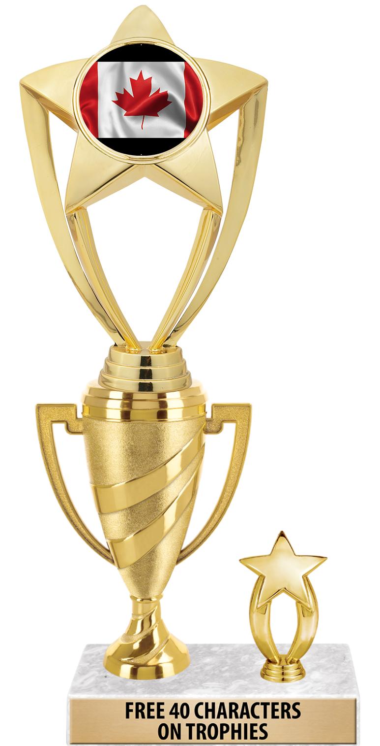 SWIRL CUP RISER TRP STAR TRIM