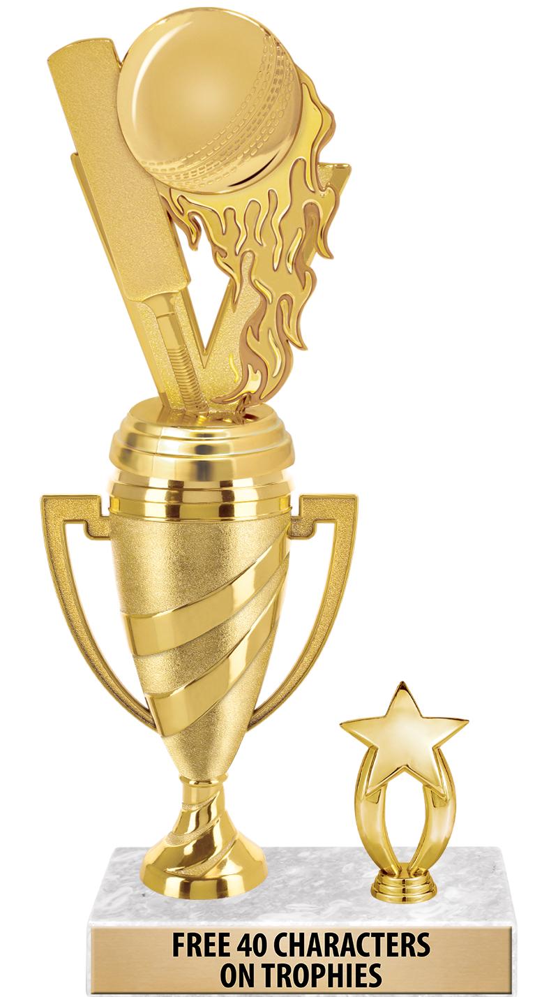 SWIRL CUP RISER TRP STAR TRIM