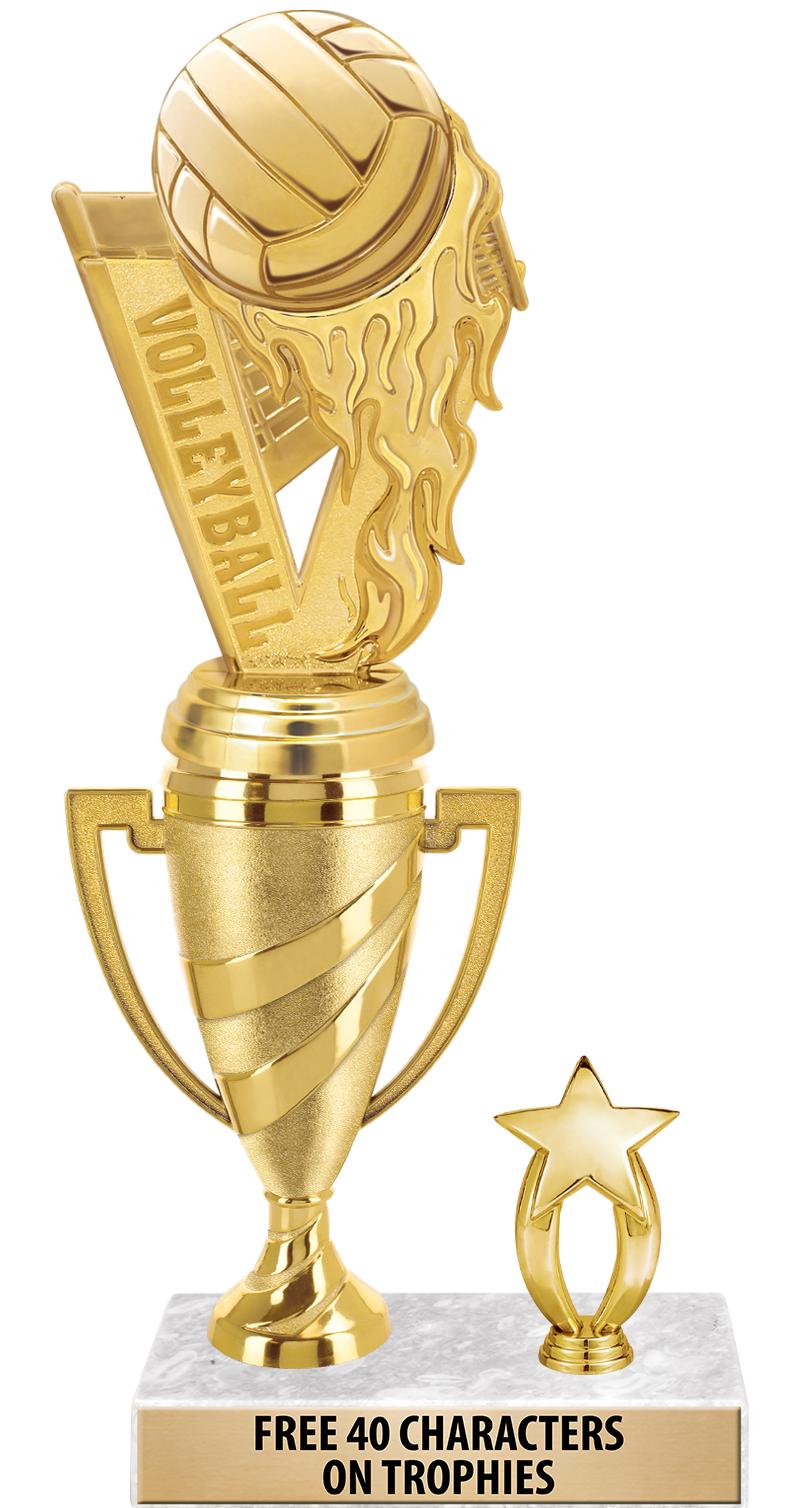 SWIRL CUP RISER TRP STAR TRIM