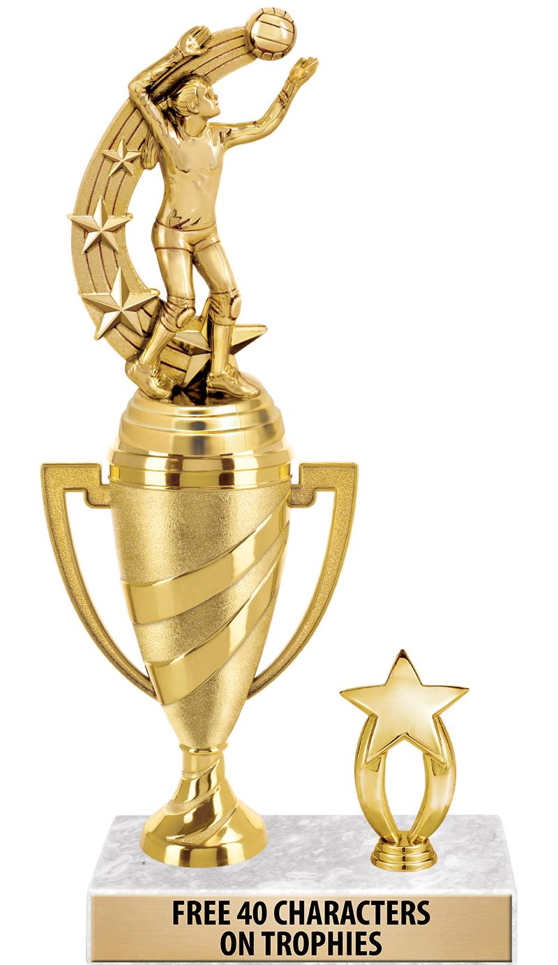 SWIRL CUP RISER TRP STAR TRIM