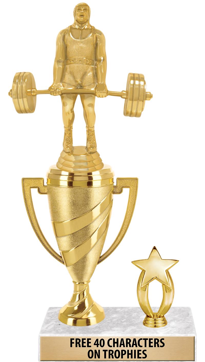 SWIRL CUP RISER TRP STAR TRIM