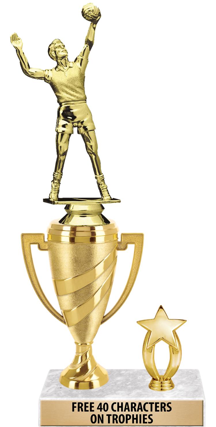 SWIRL CUP RISER TRP STAR TRIM