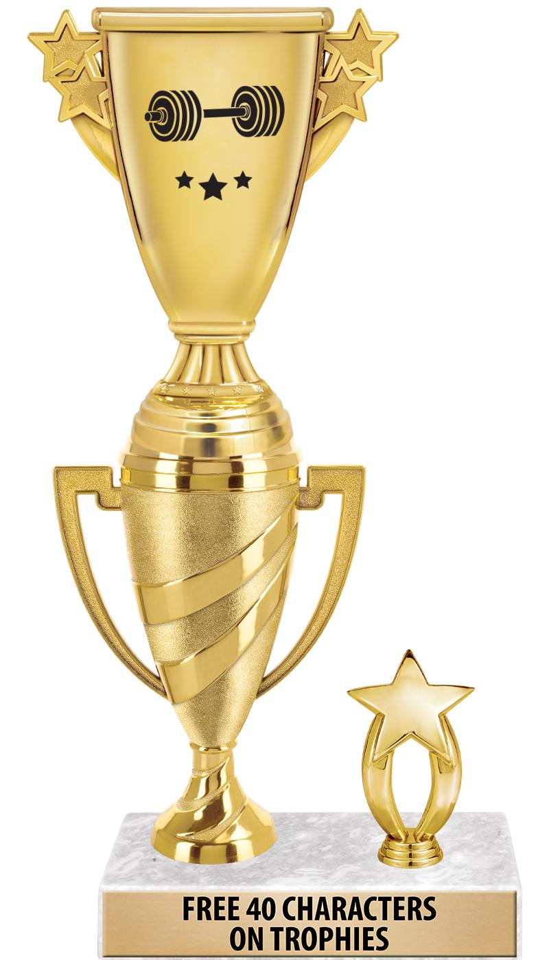 SWIRL CUP RISER TRP STAR TRIM