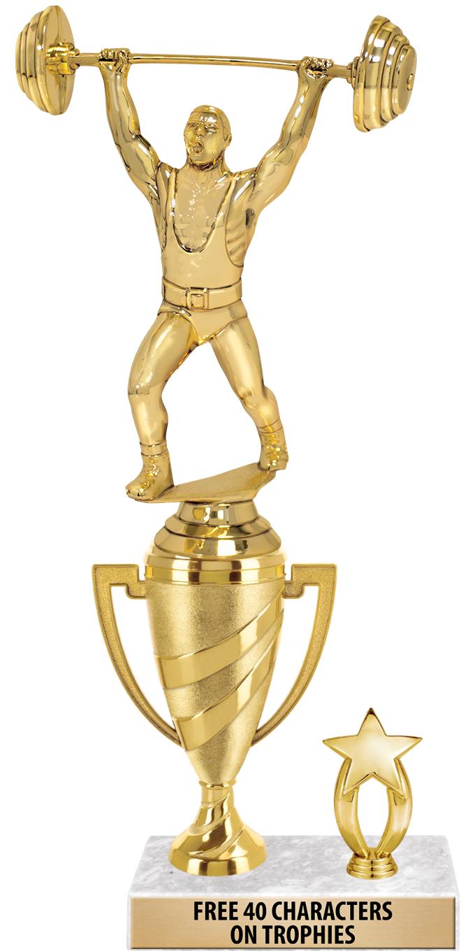 SWIRL CUP RISER TRP STAR TRIM