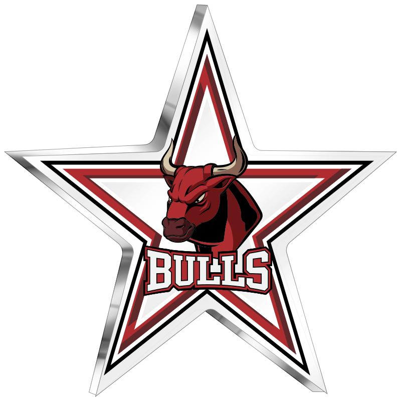 1.75" CUSTOM CUT ACRYLIC PIN