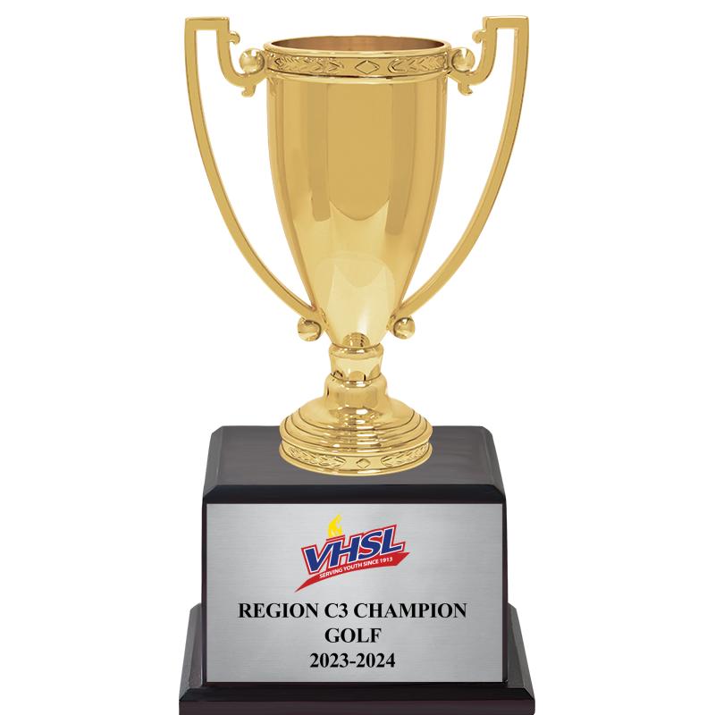 10" GOLD METAL CUP TROPHY