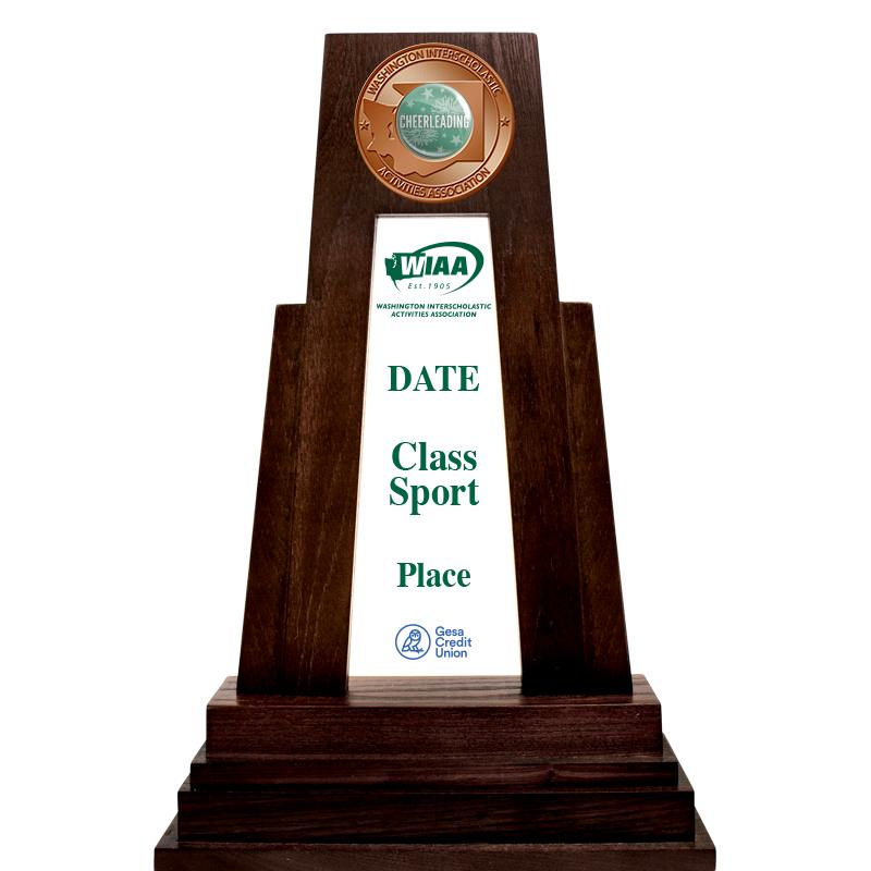 9" WIAA 3-8 PLACE MINI TROPHY