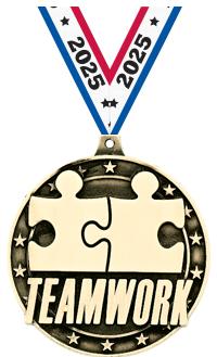2" 3D TEAMWORK GOLD MEDAL
