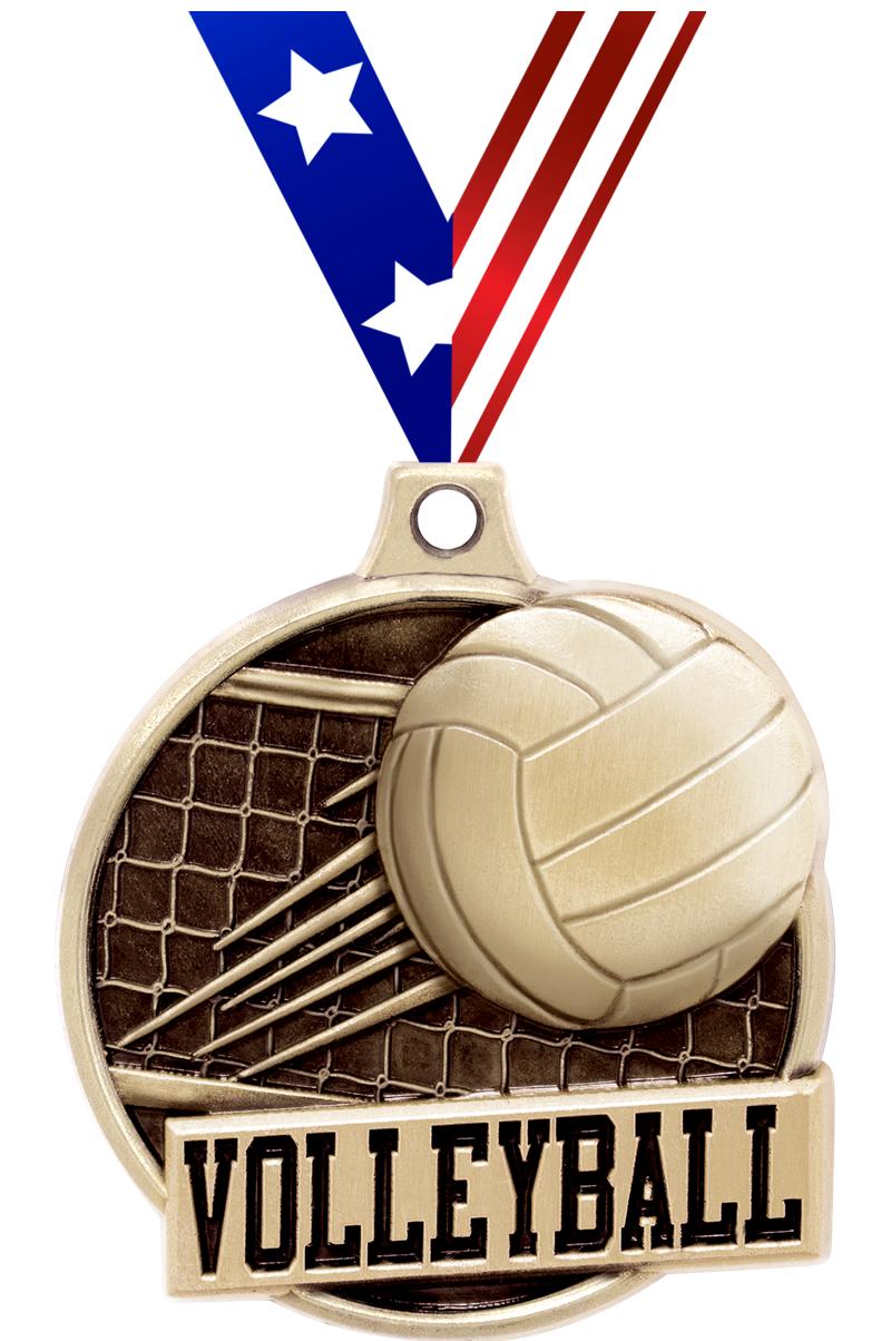 1.5"3D CHALLNGR VOLLEYBALL GD