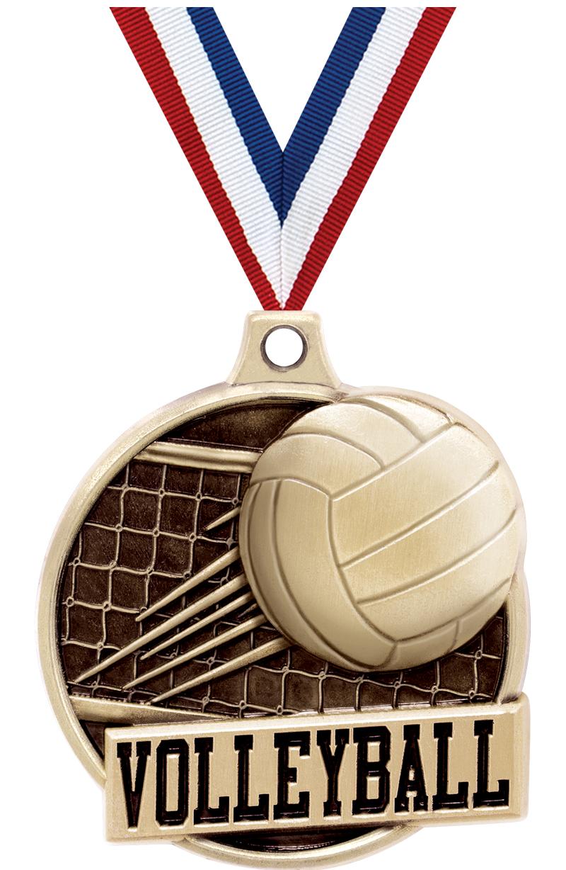 1.5"3D CHALLNGR VOLLEYBALL GD