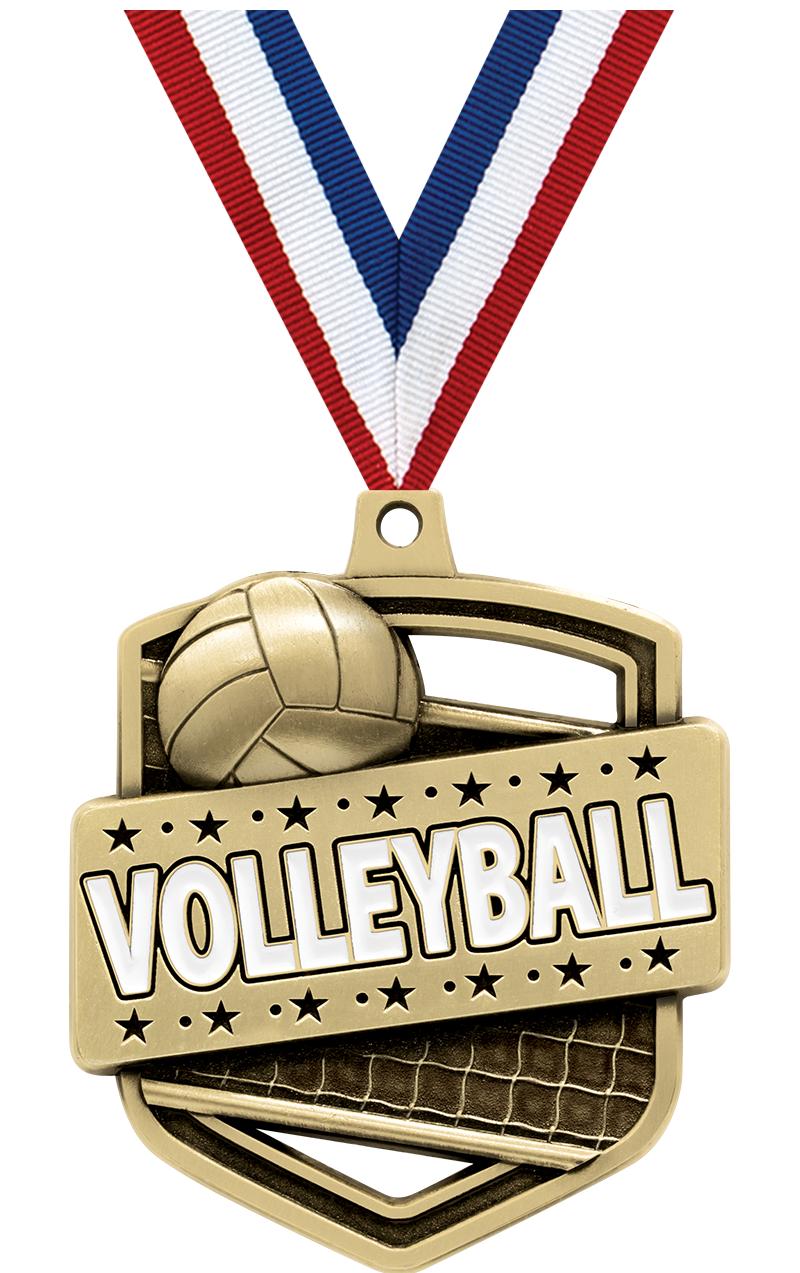 2.25"ADMIRAL VOLLEYBALL MDL GD