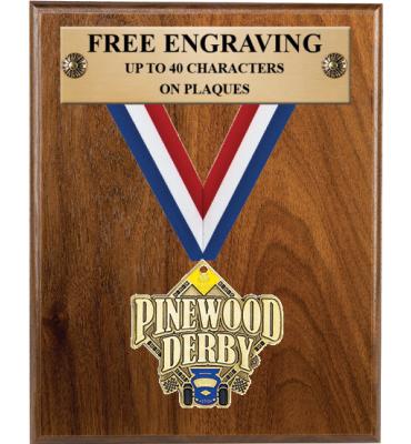 Ribbon Scouts™ Medal Plaque