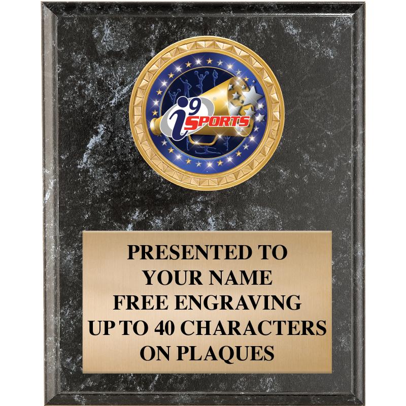 4" X 6" I9 BLK MBL INSERT PLQ