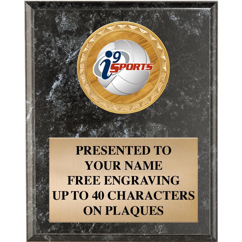 4" X 6" I9 BLK MBL INSERT PLQ