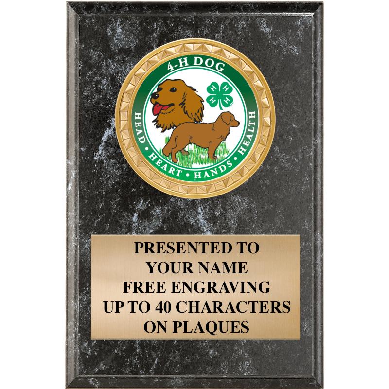 4" X 6" BLK MBL INSERT PLQ