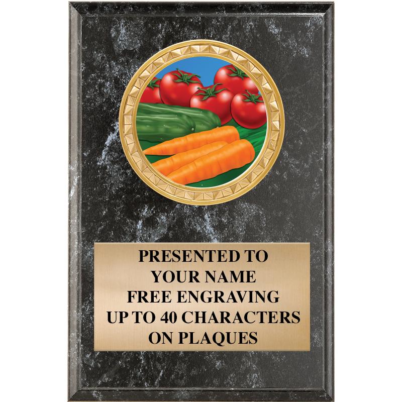 4" X 6" BLK MBL INSERT PLQ