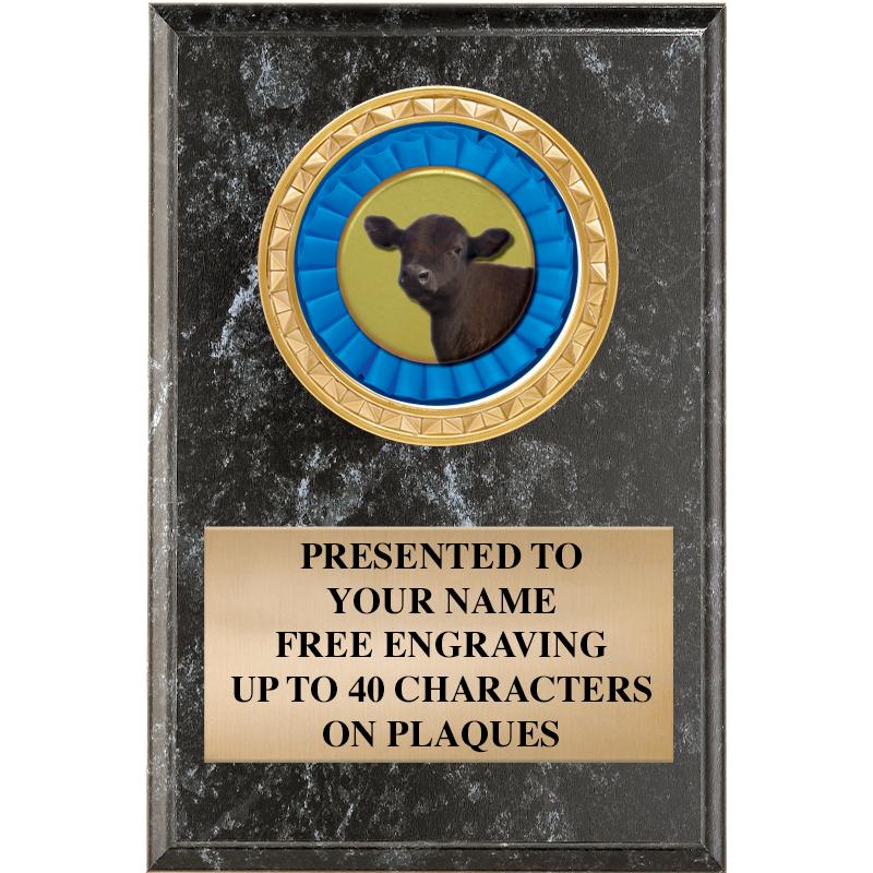 4" X 6" BLK MBL INSERT PLQ