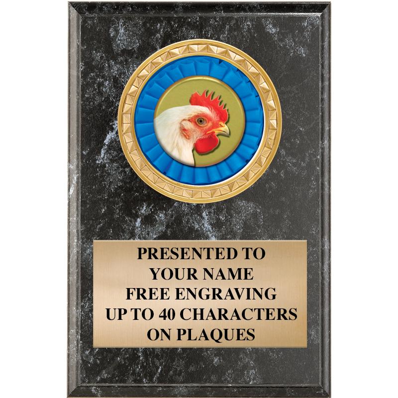 4" X 6" BLK MBL INSERT PLQ