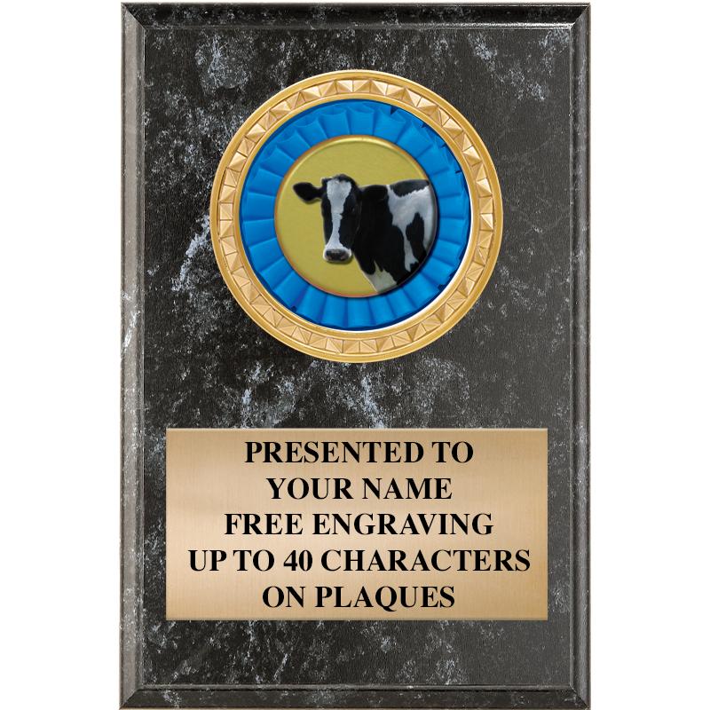 4" X 6" BLK MBL INSERT PLQ