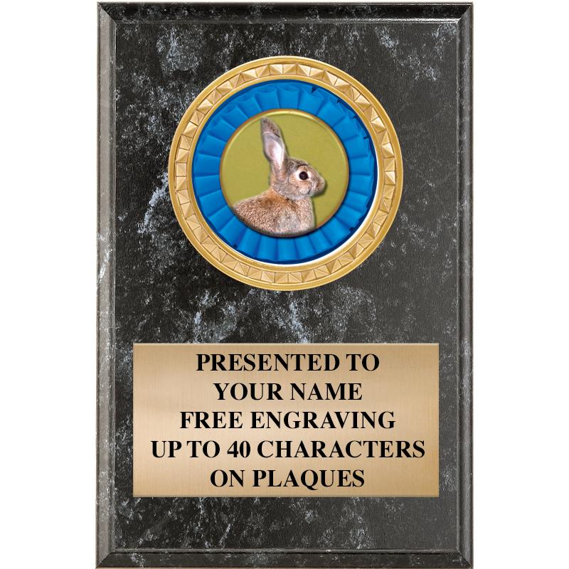 4" X 6" BLK MBL INSERT PLQ